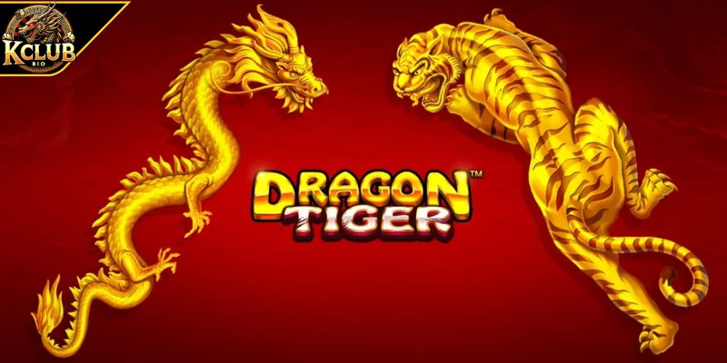 Giới thiệu tổng quan về Long Hổ 
